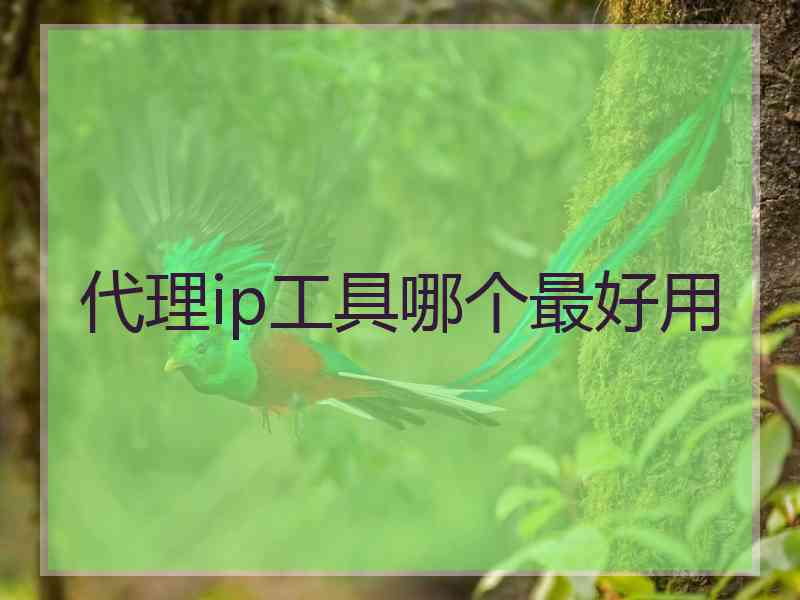 代理ip工具哪个最好用