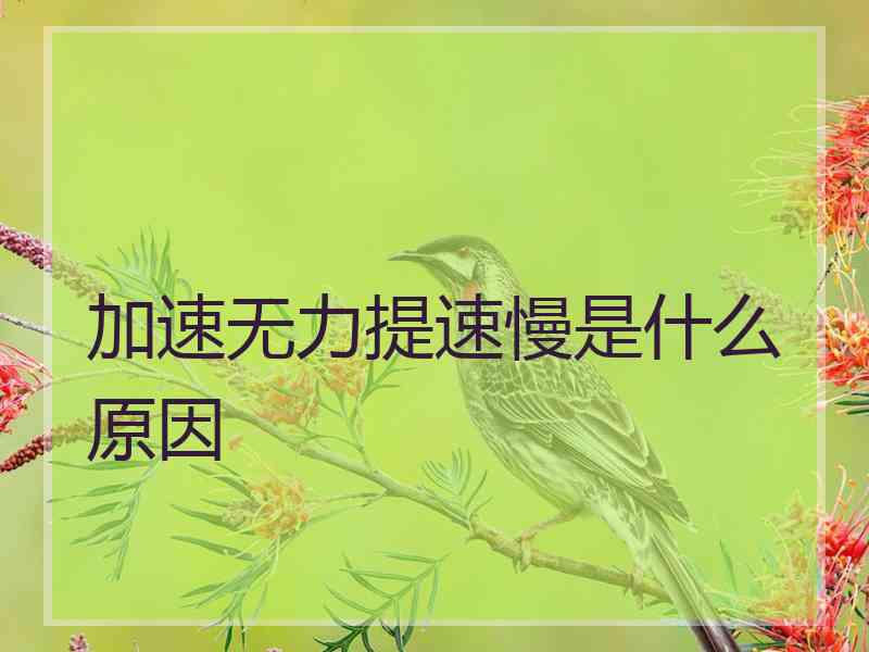 加速无力提速慢是什么原因