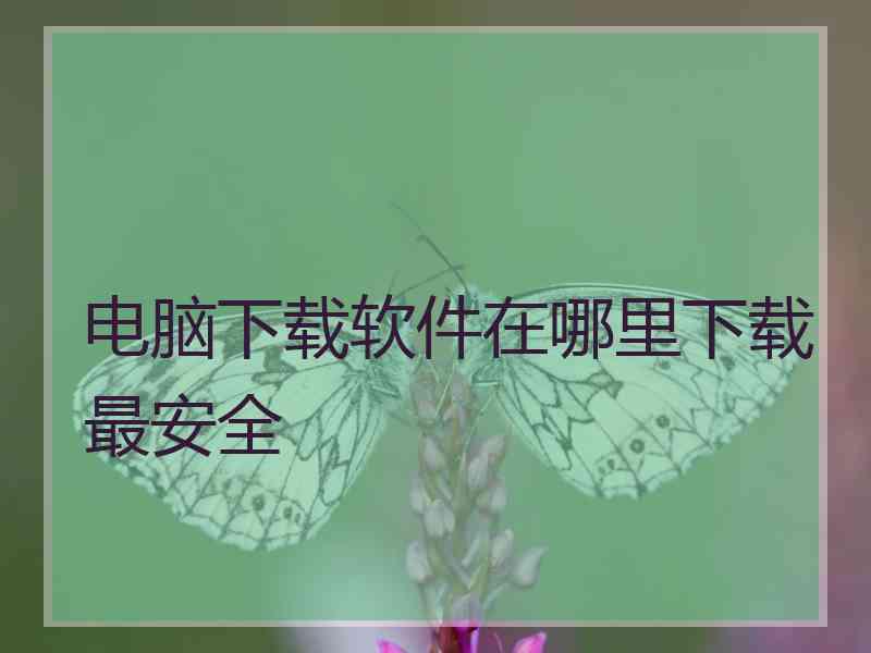 电脑下载软件在哪里下载最安全