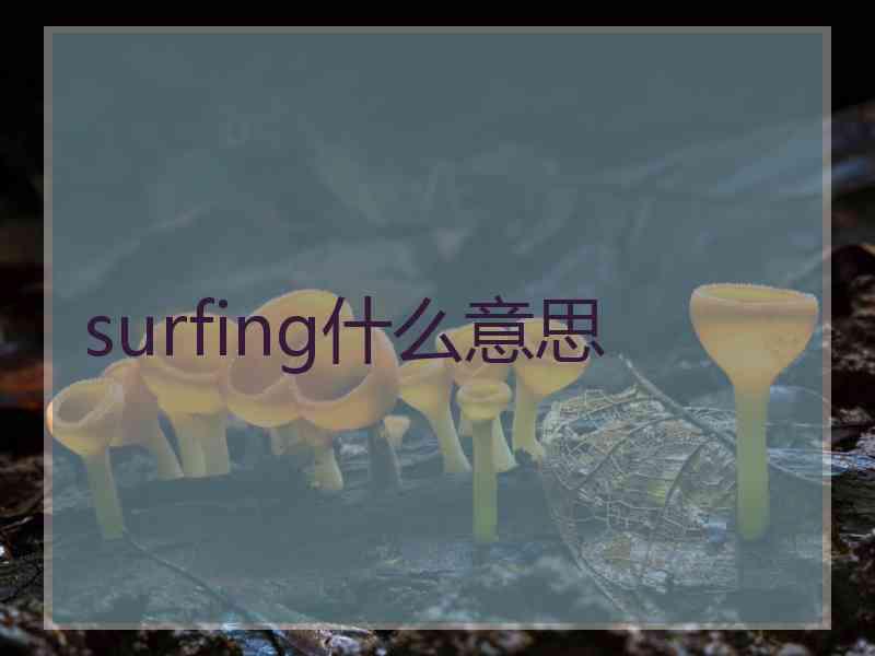 surfing什么意思