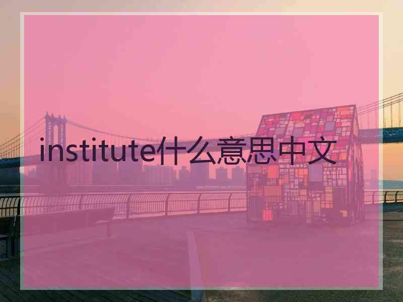 institute什么意思中文