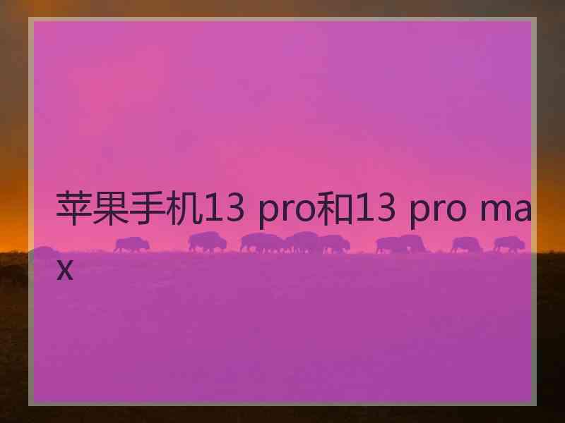 苹果手机13 pro和13 pro max