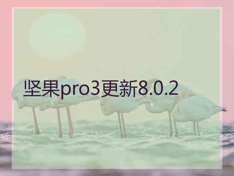 坚果pro3更新8.0.2