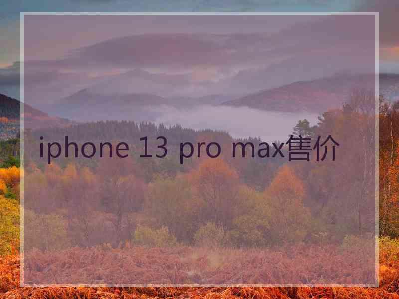 iphone 13 pro max售价