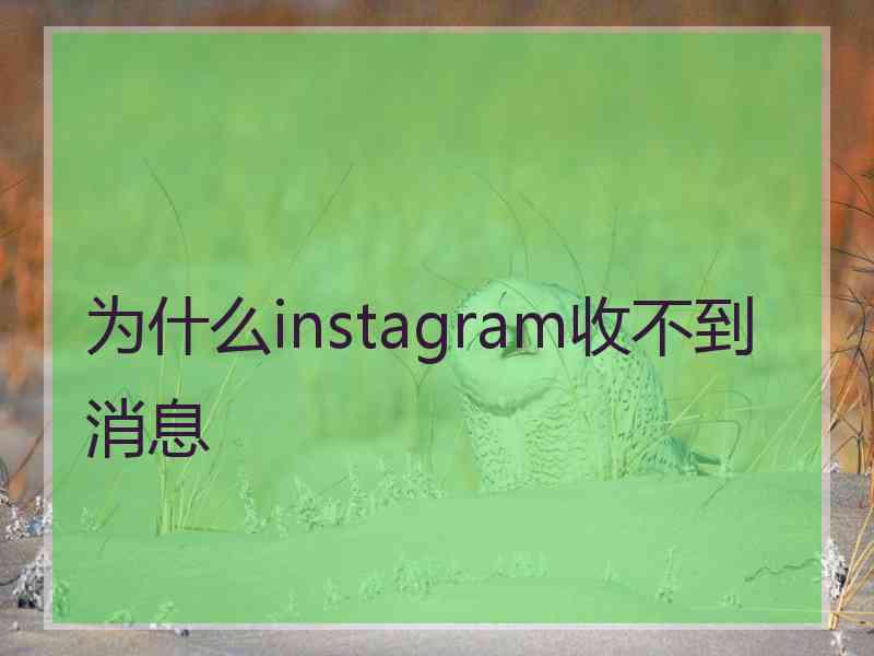 为什么instagram收不到消息