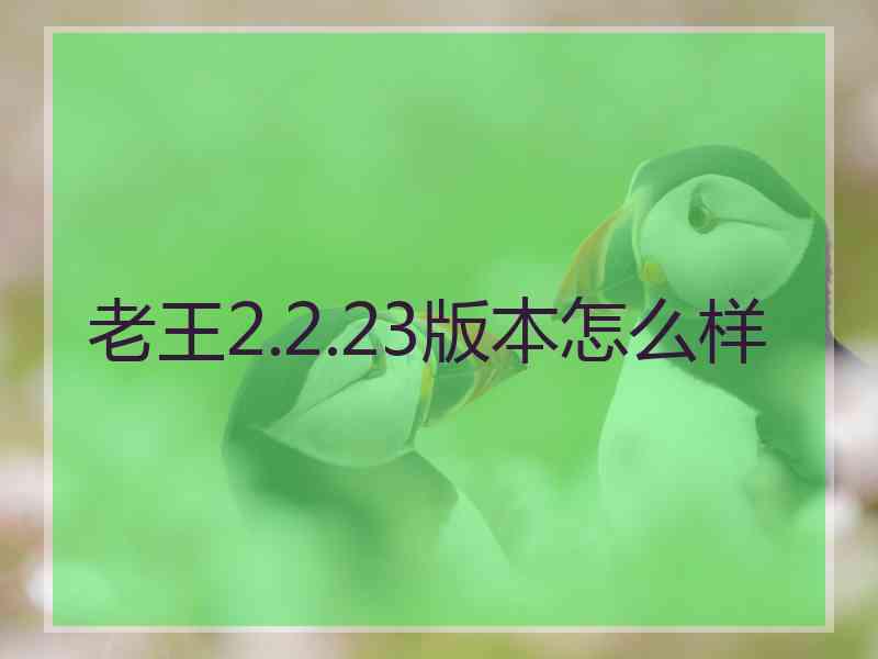 老王2.2.23版本怎么样