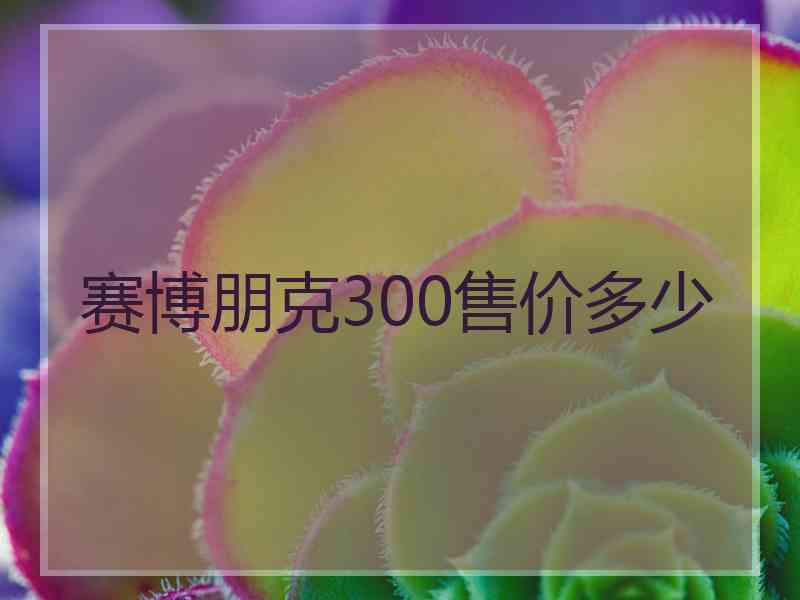 赛博朋克300售价多少