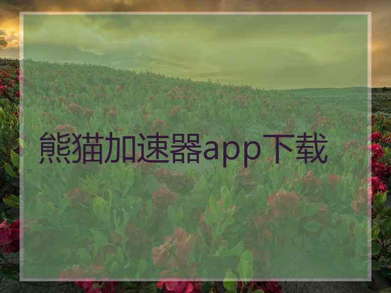 熊猫加速器app下载