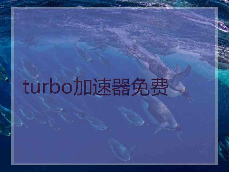 turbo加速器免费