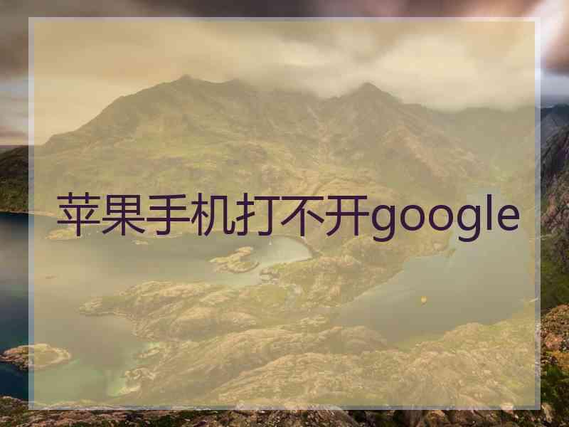 苹果手机打不开google