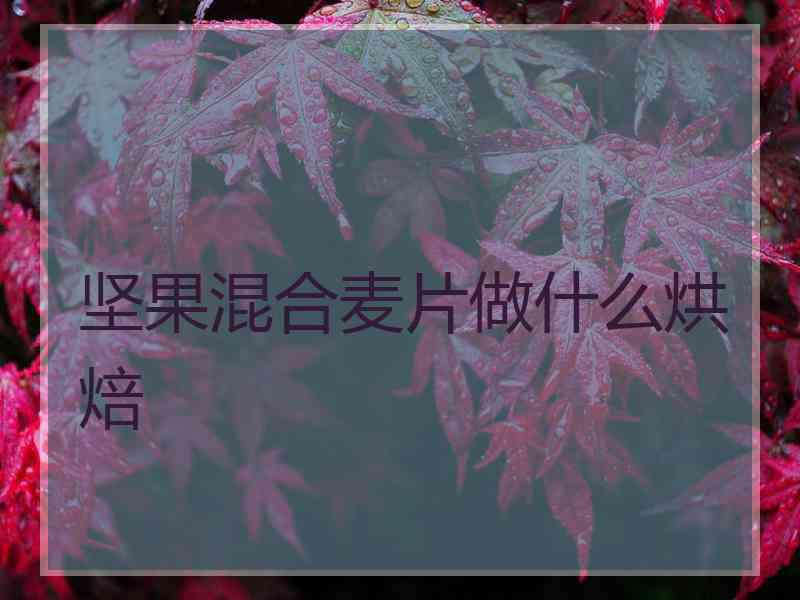 坚果混合麦片做什么烘焙