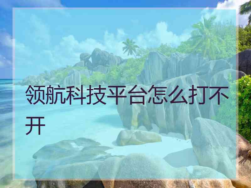 领航科技平台怎么打不开