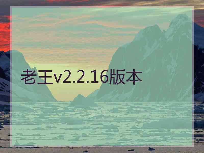 老王v2.2.16版本