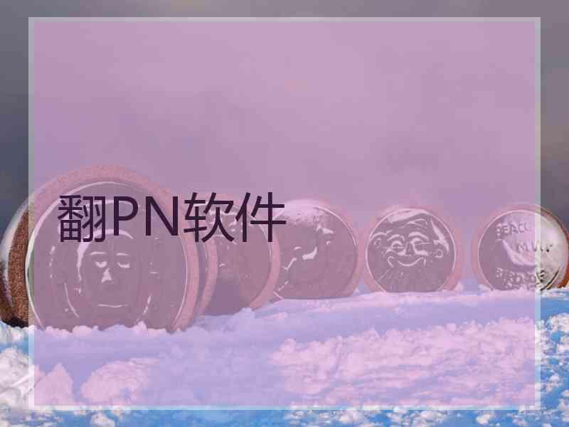 翻PN软件