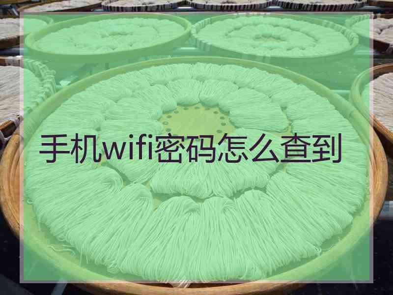 手机wifi密码怎么查到