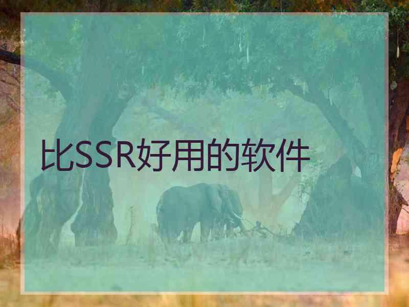 比SSR好用的软件