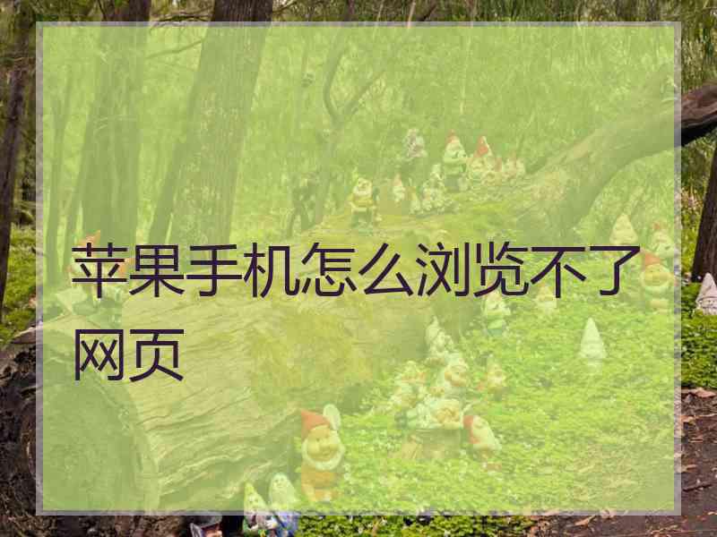 苹果手机怎么浏览不了网页