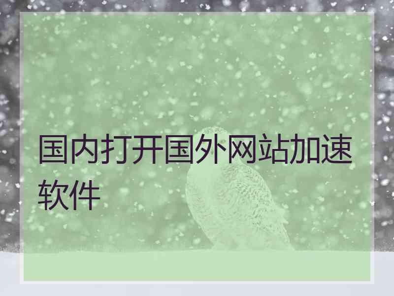 国内打开国外网站加速软件