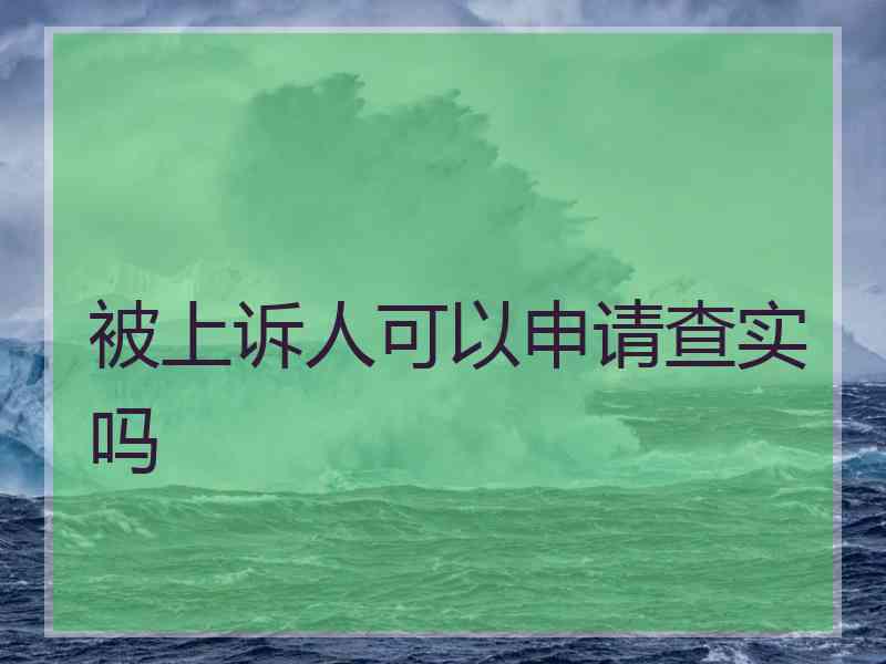 被上诉人可以申请查实吗