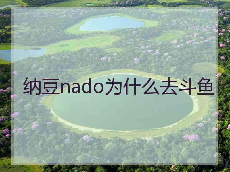 纳豆nado为什么去斗鱼