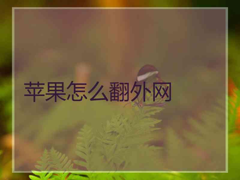 苹果怎么翻外网