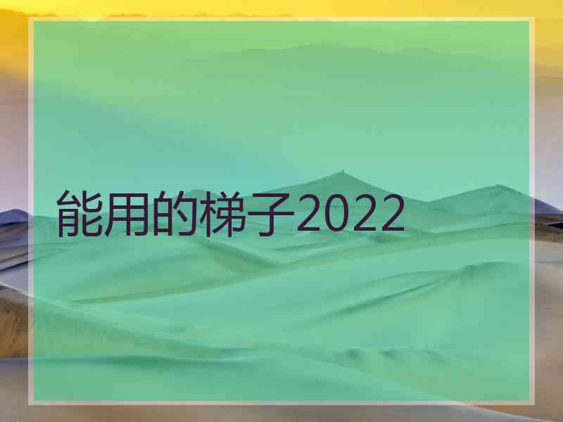 能用的梯子2022