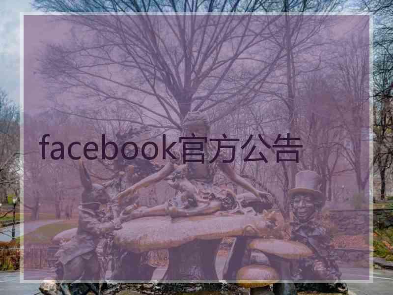 facebook官方公告