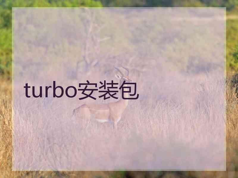 turbo安装包