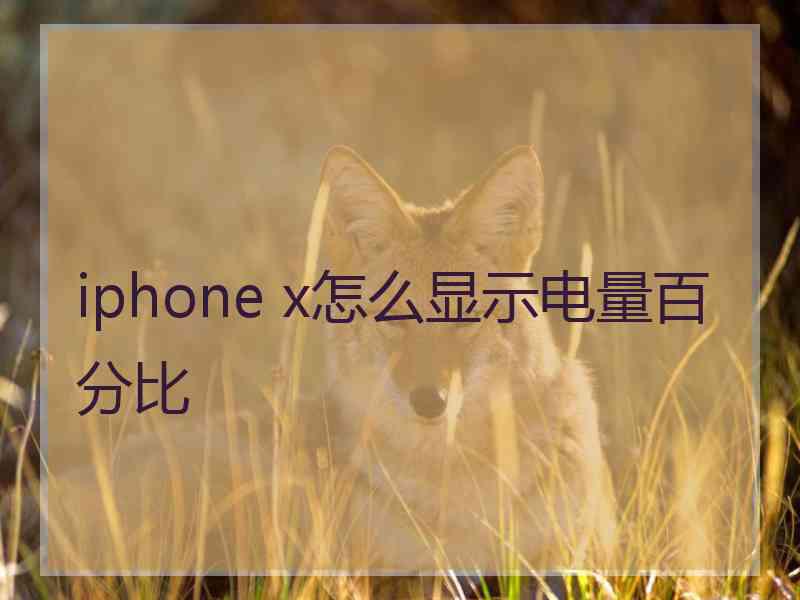 iphone x怎么显示电量百分比