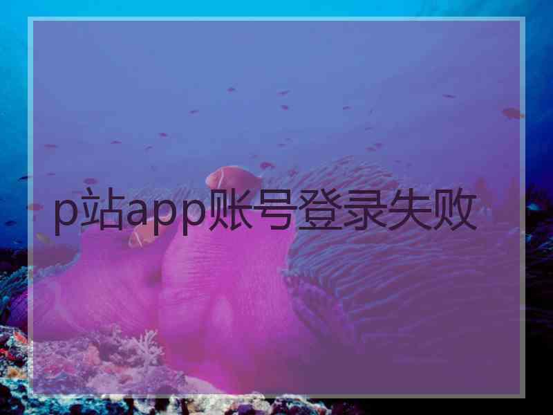 p站app账号登录失败