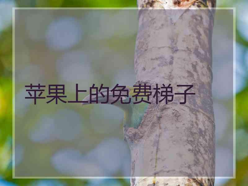 苹果上的免费梯子