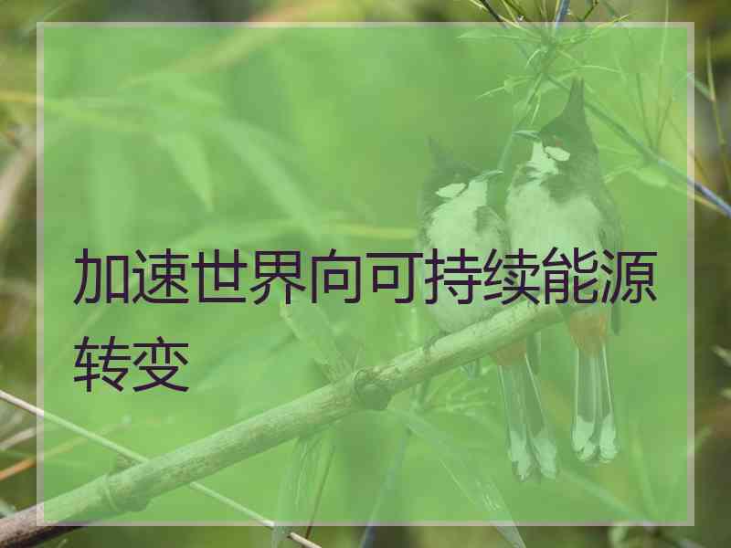 加速世界向可持续能源转变