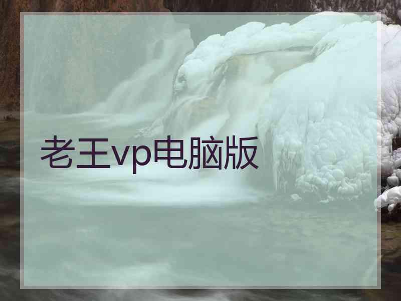 老王vp电脑版