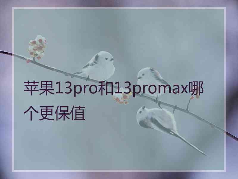 苹果13pro和13promax哪个更保值