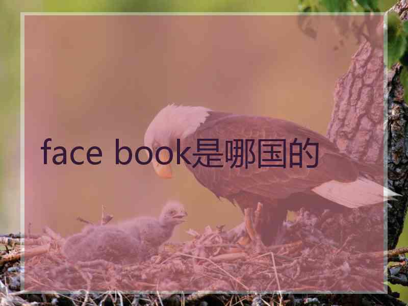 face book是哪国的