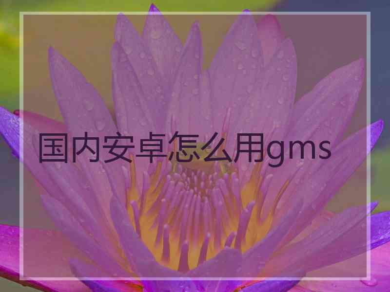 国内安卓怎么用gms