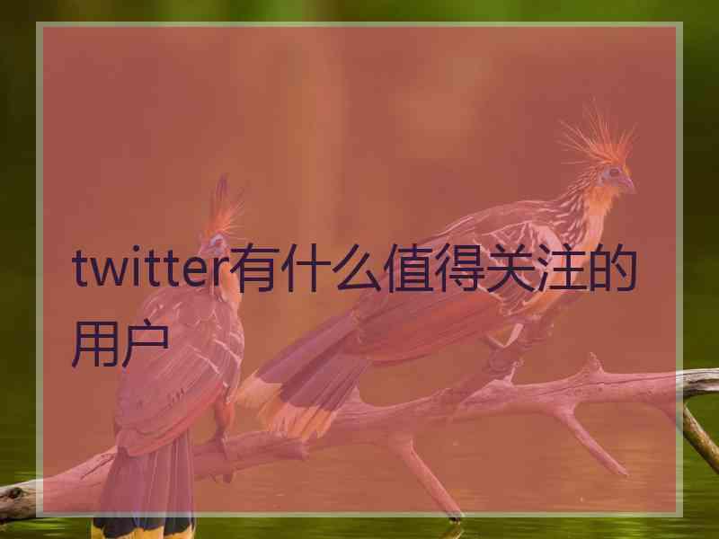 twitter有什么值得关注的用户