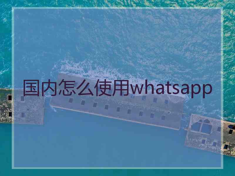 国内怎么使用whatsapp