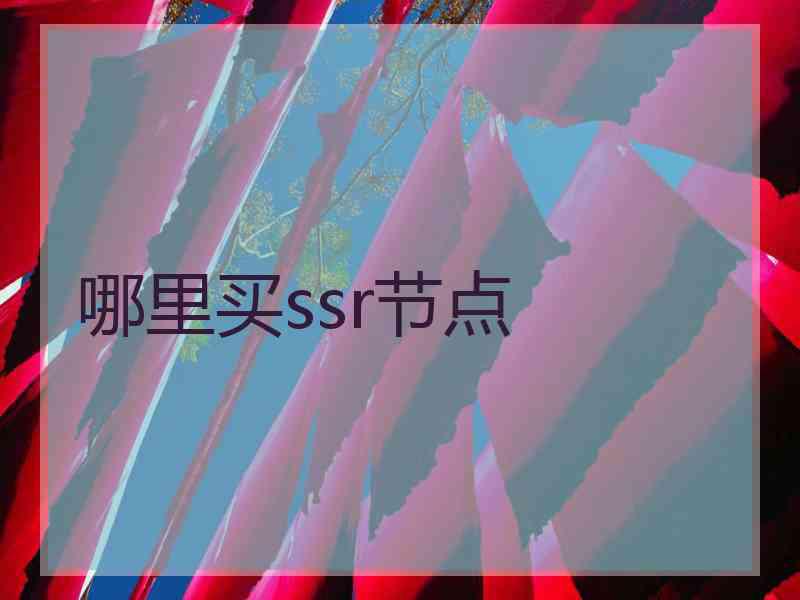 哪里买ssr节点