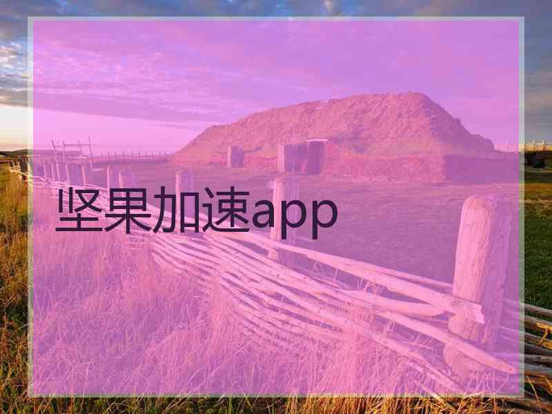 坚果加速app