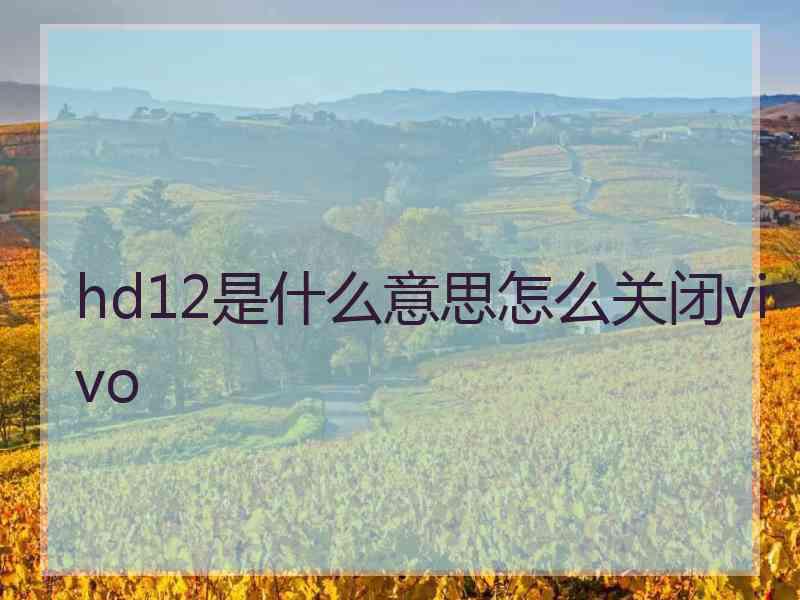 hd12是什么意思怎么关闭vivo