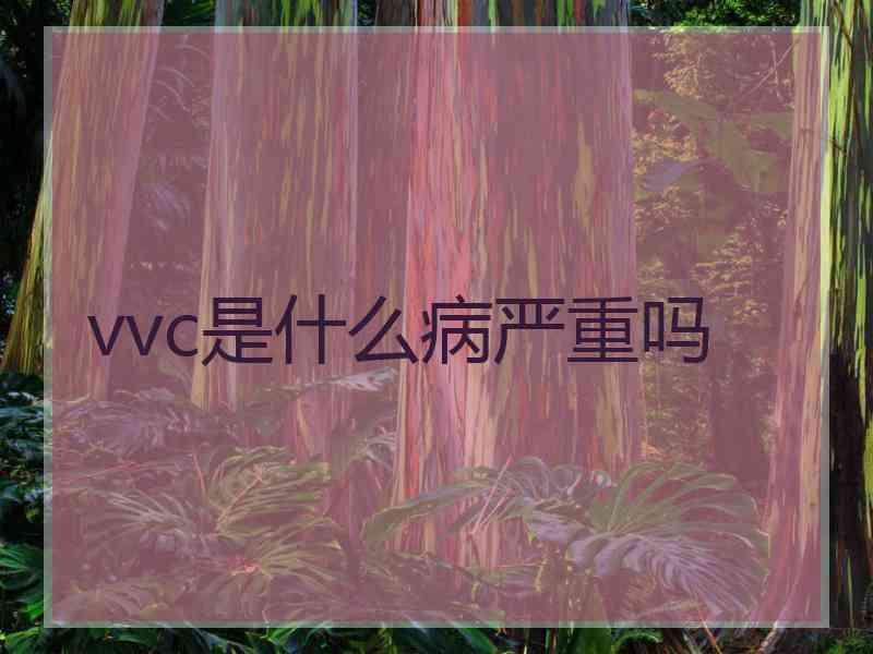 vvc是什么病严重吗