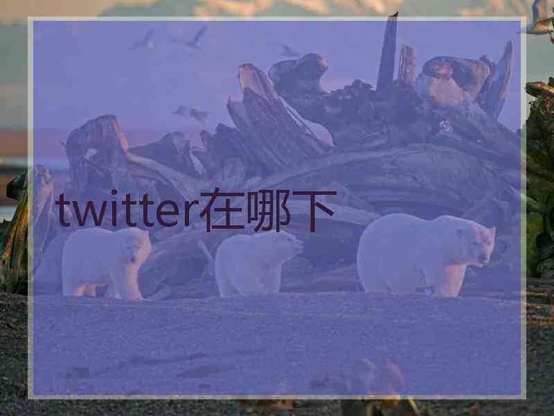 twitter在哪下