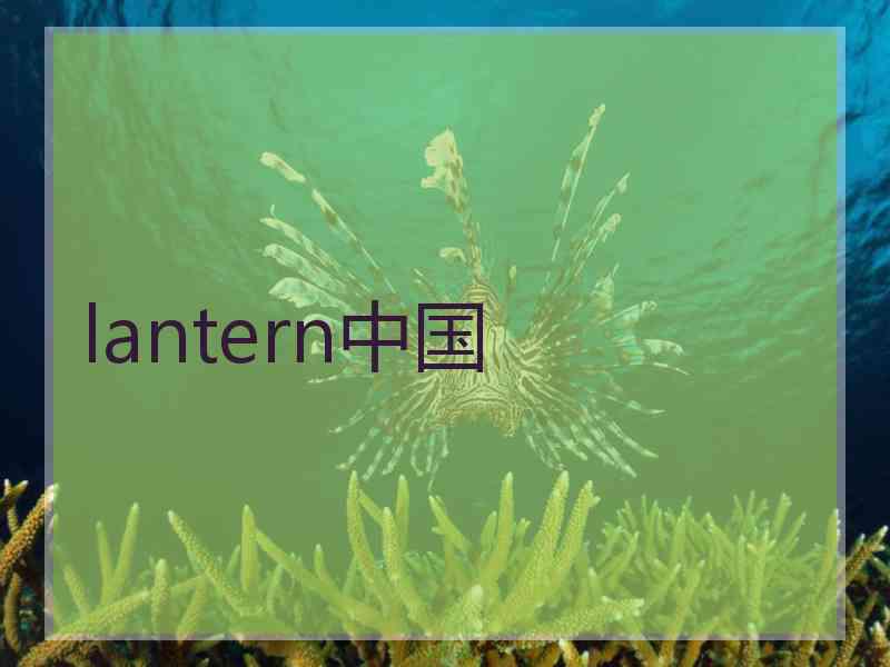 lantern中国