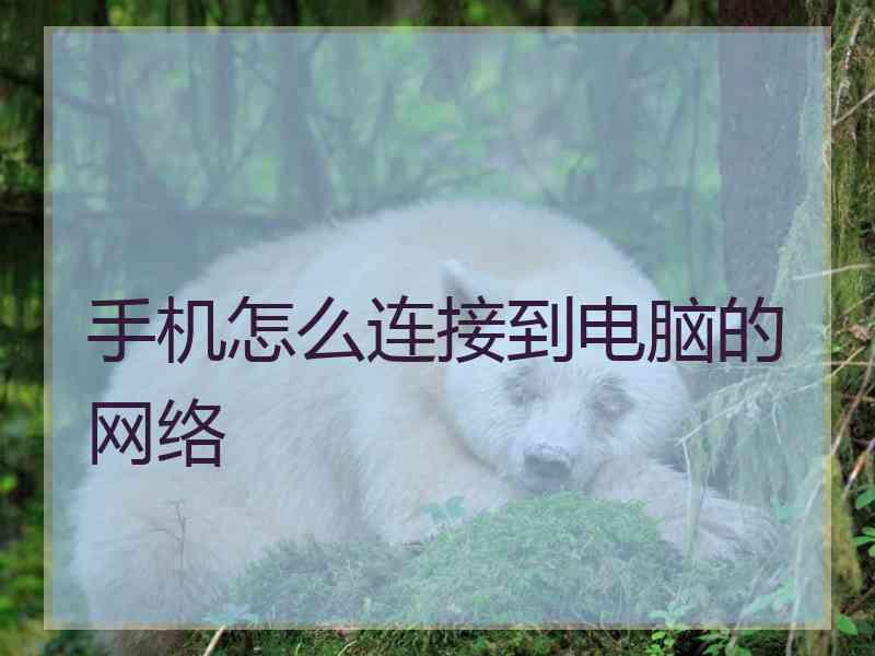 手机怎么连接到电脑的网络