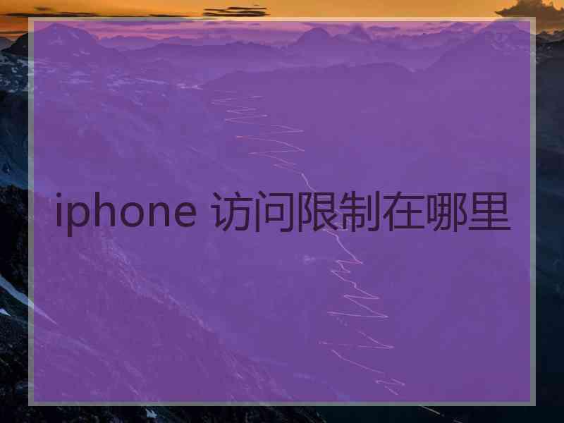 iphone 访问限制在哪里