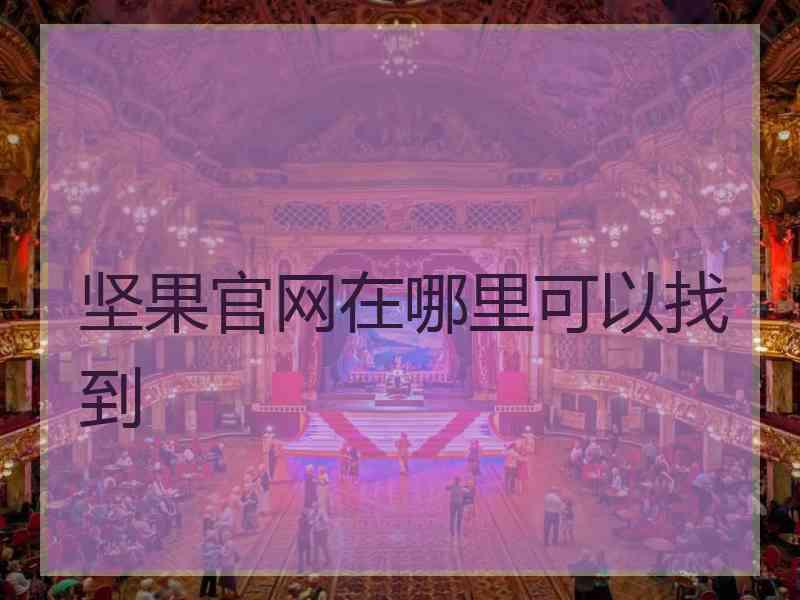 坚果官网在哪里可以找到