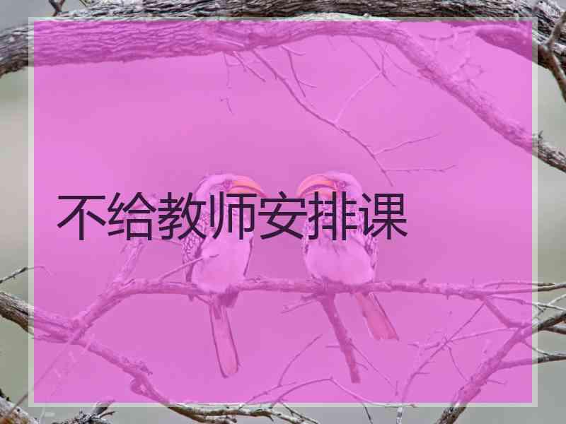 不给教师安排课