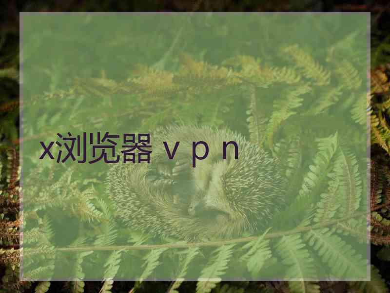 x浏览器 v p n