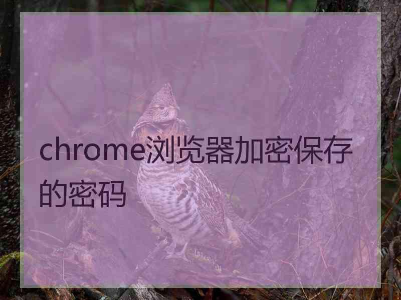 chrome浏览器加密保存的密码